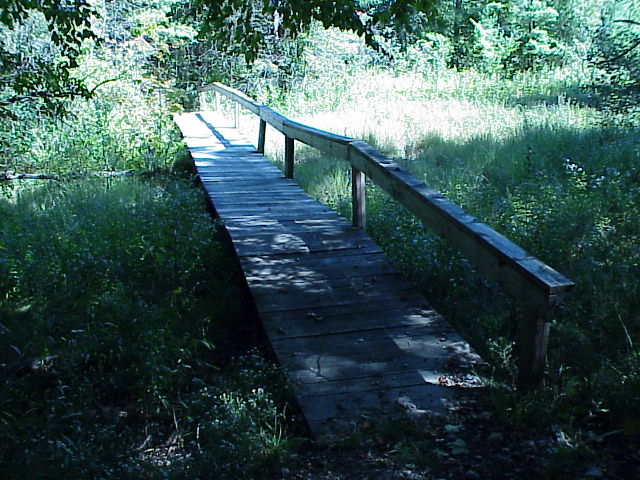 photo of path across a bridge in the woods
