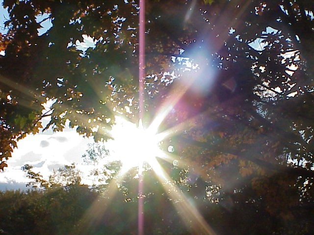photo of sunburst through trees